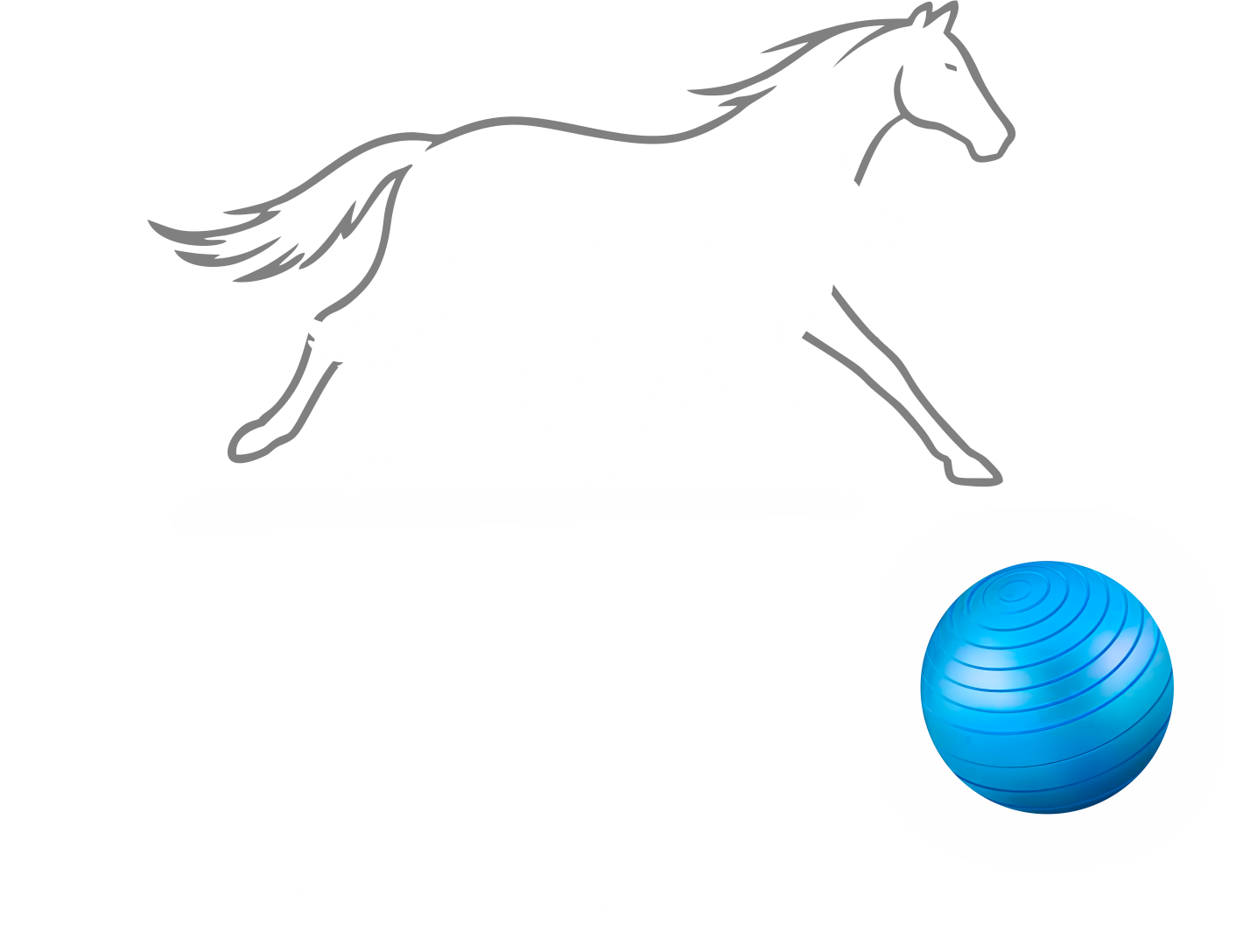 Logo Grigio fundo transparente 1