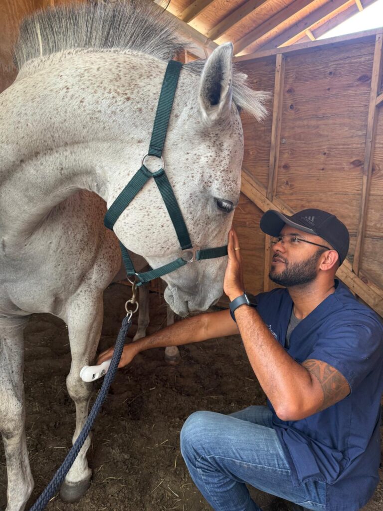 WhatsApp Image 2026-03-20 at 13.01.51 (1)