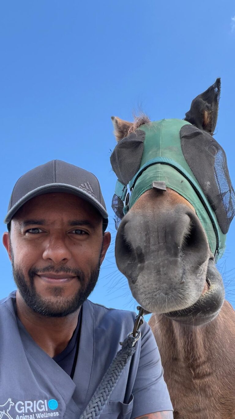 WhatsApp Image 2026-03-20 at 13.01.51 (2)