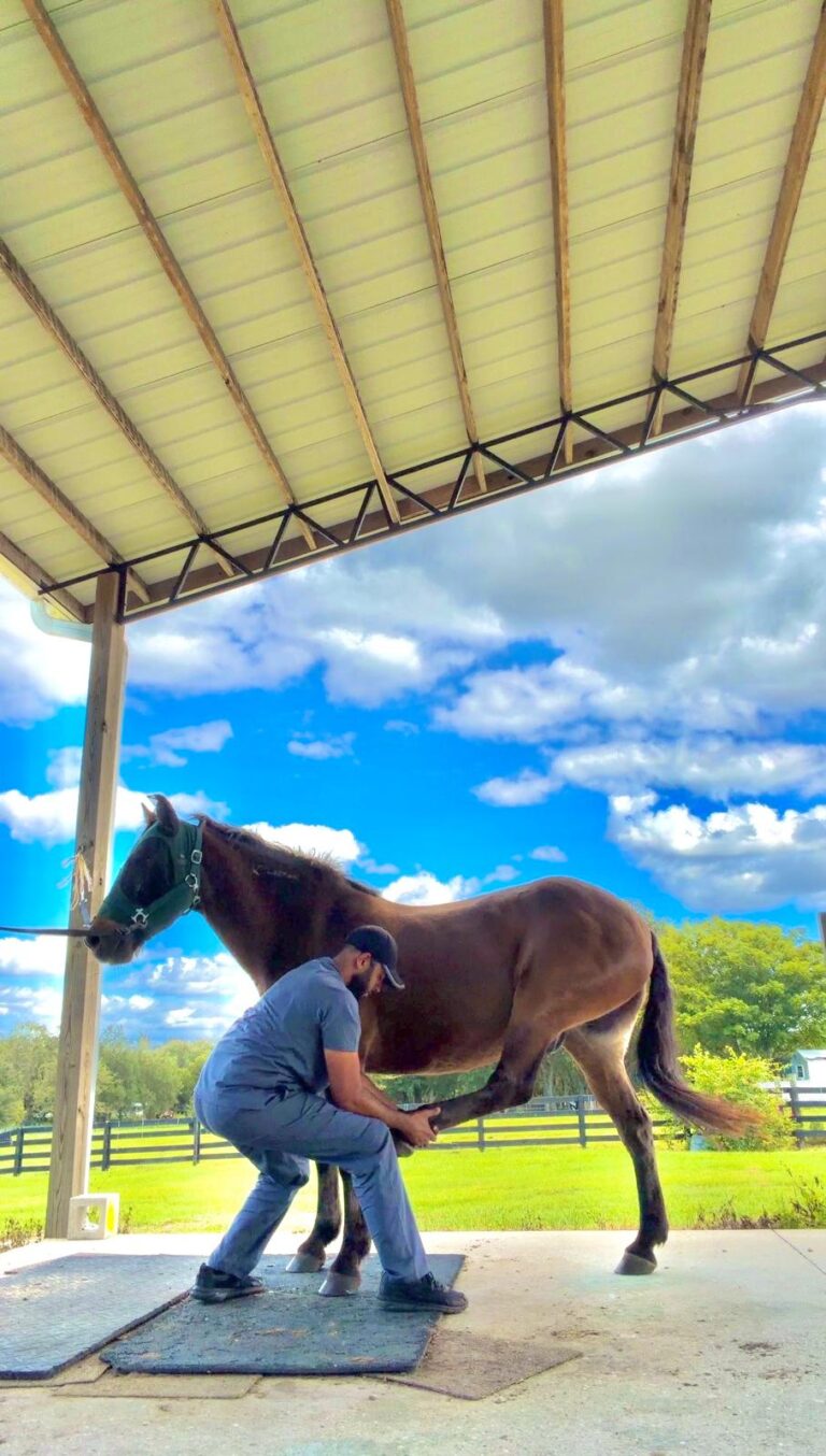 WhatsApp Image 2026-03-20 at 13.01.51 (3)