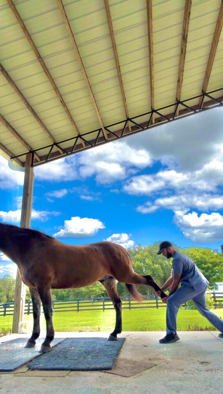 WhatsApp Image 2026-03-20 at 13.01.51 (4)