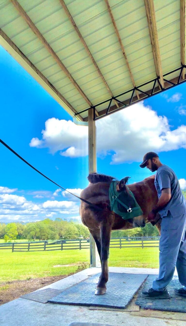 WhatsApp Image 2026-03-20 at 13.01.51 (5)