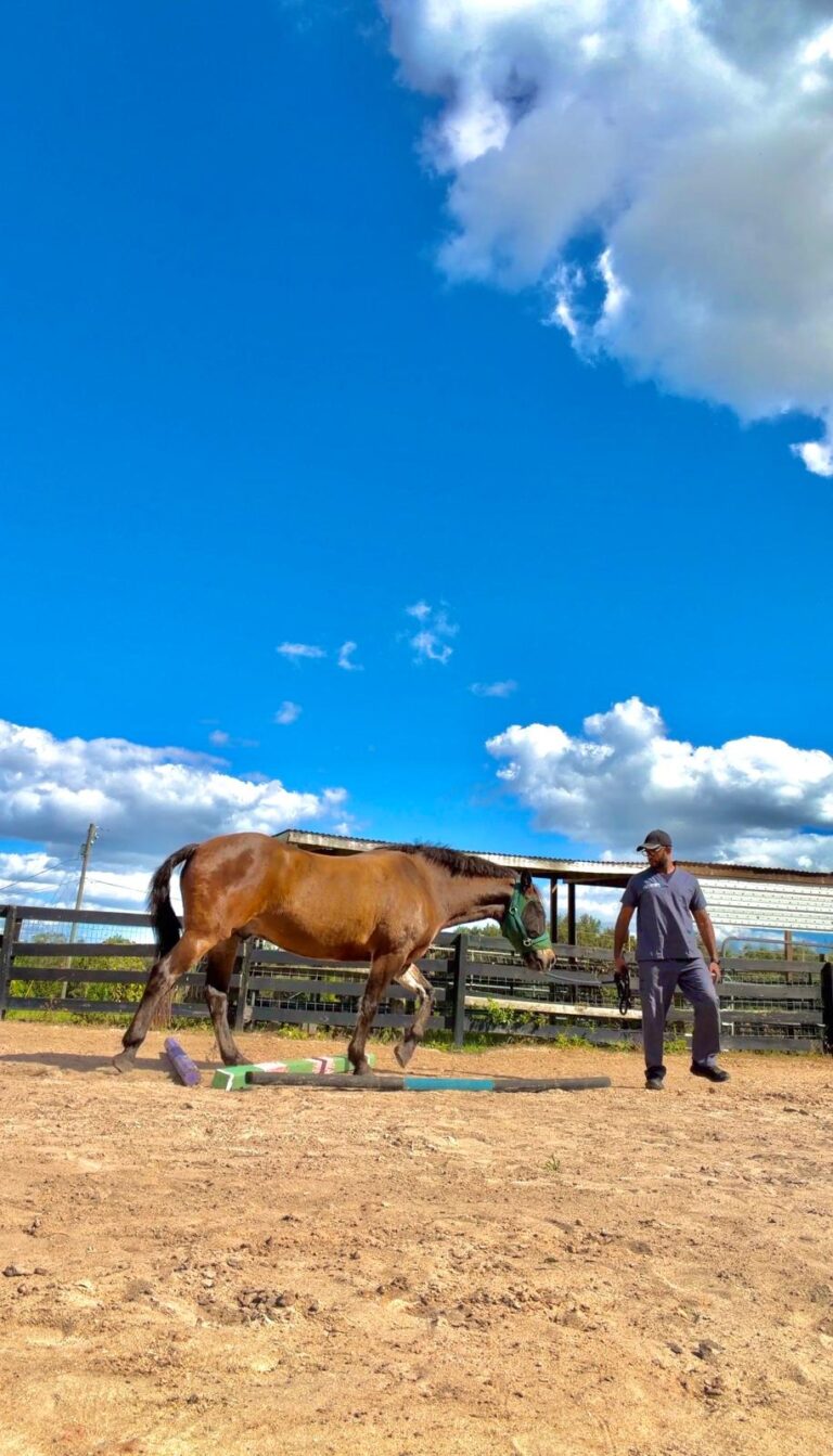 WhatsApp Image 2026-03-20 at 13.01.51 (6)