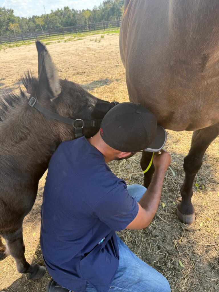 WhatsApp Image 2026-03-20 at 13.01.51